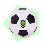 Ballon Blue Lock - Ballon Football Isagi